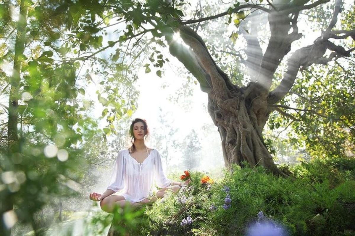 seorang wanita duduk dalam meditasi di hadapan pokok