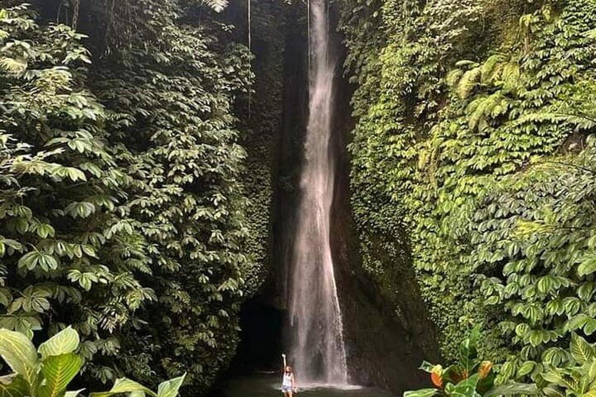 vodopád uprostřed bujného zeleného lesa