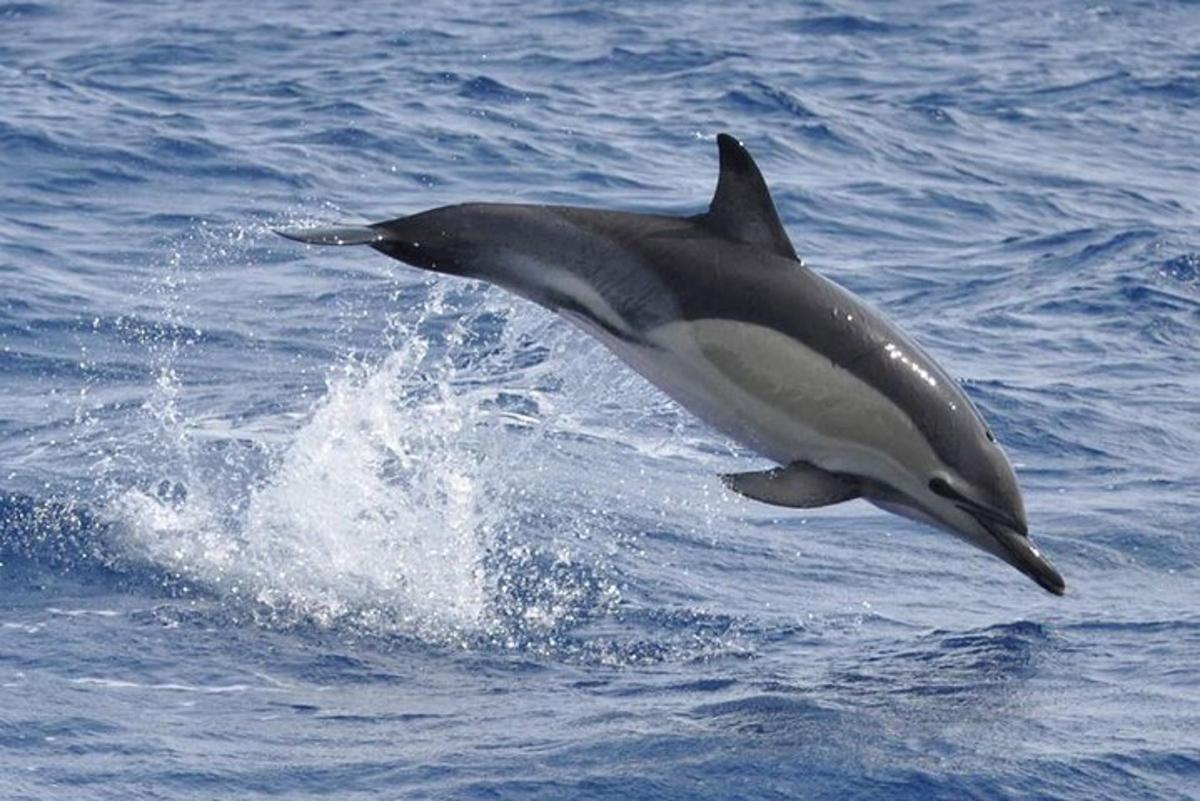 Lankytinos vietos ar pramogos nuotrauka numeris 4