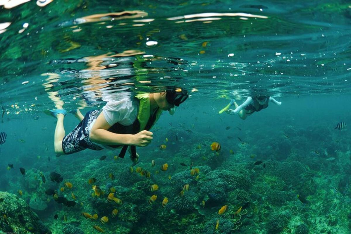due persone stanno nuotando nell'acqua con i pesci