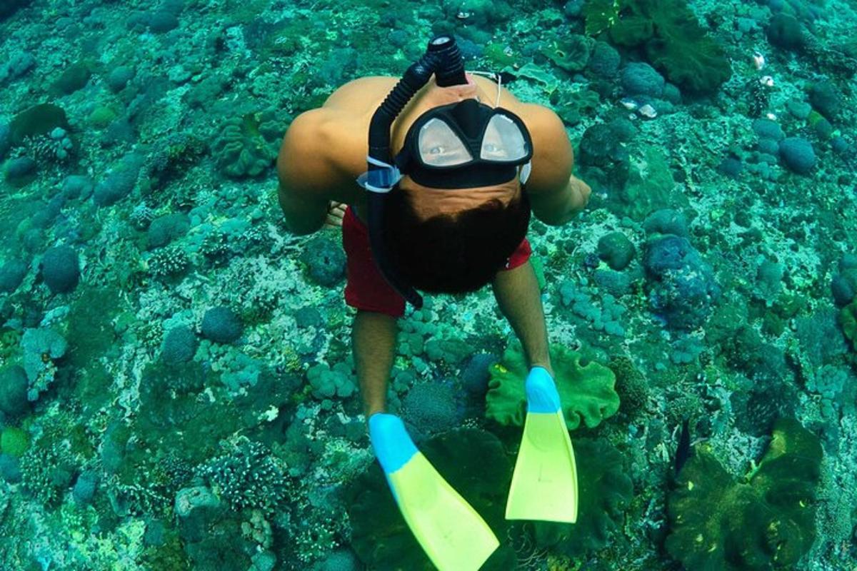 un uomo in tenuta da sub che guarda nell'acqua