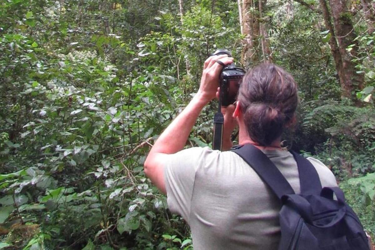 Fotografia da atração 6