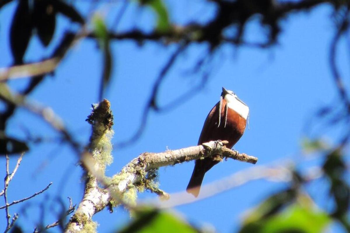 Fotografia da atração 7