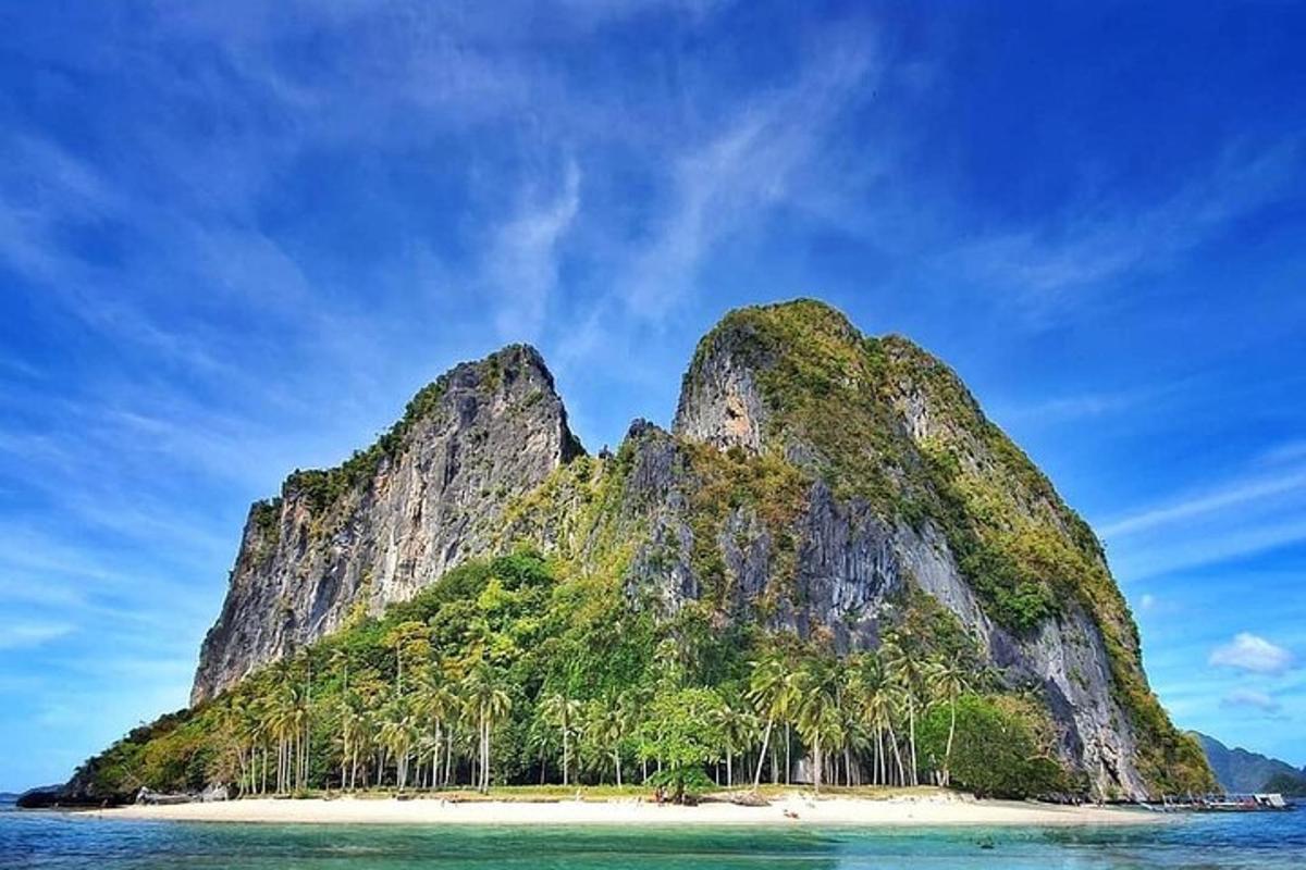 a tropical island with palm trees on a beach