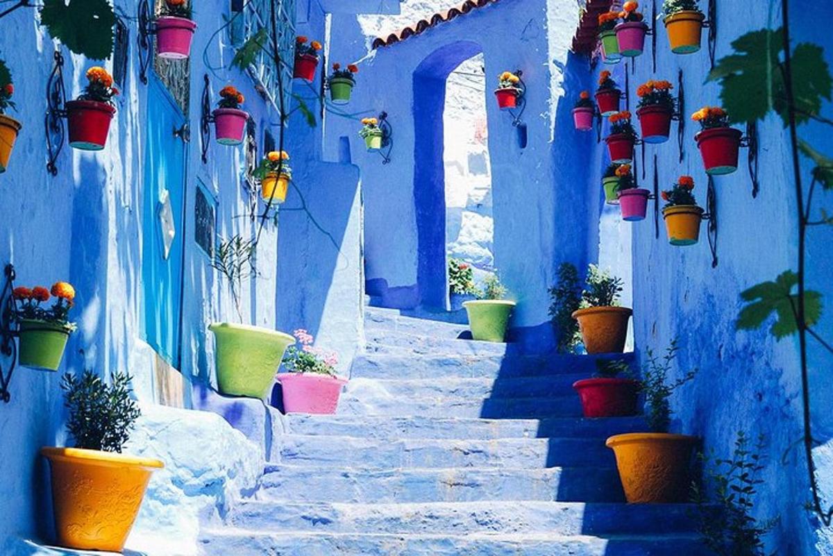 lorong biru dengan tanaman pasu di atas bangunan