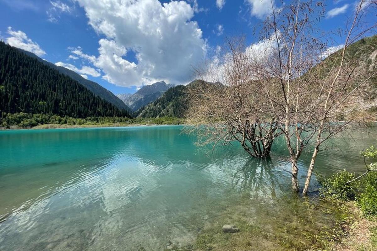 sebuah tasik dengan dua pokok di tengah-tengahnya