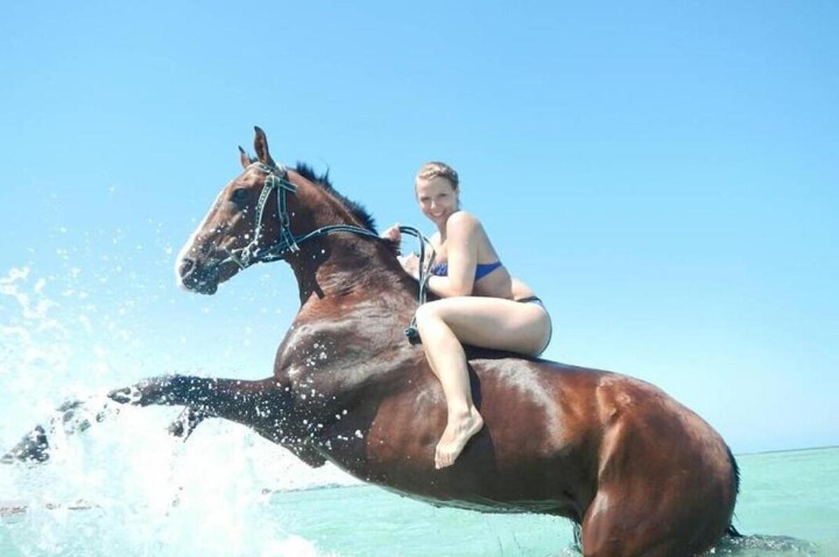 a woman in a bikini riding a horse in the ocean