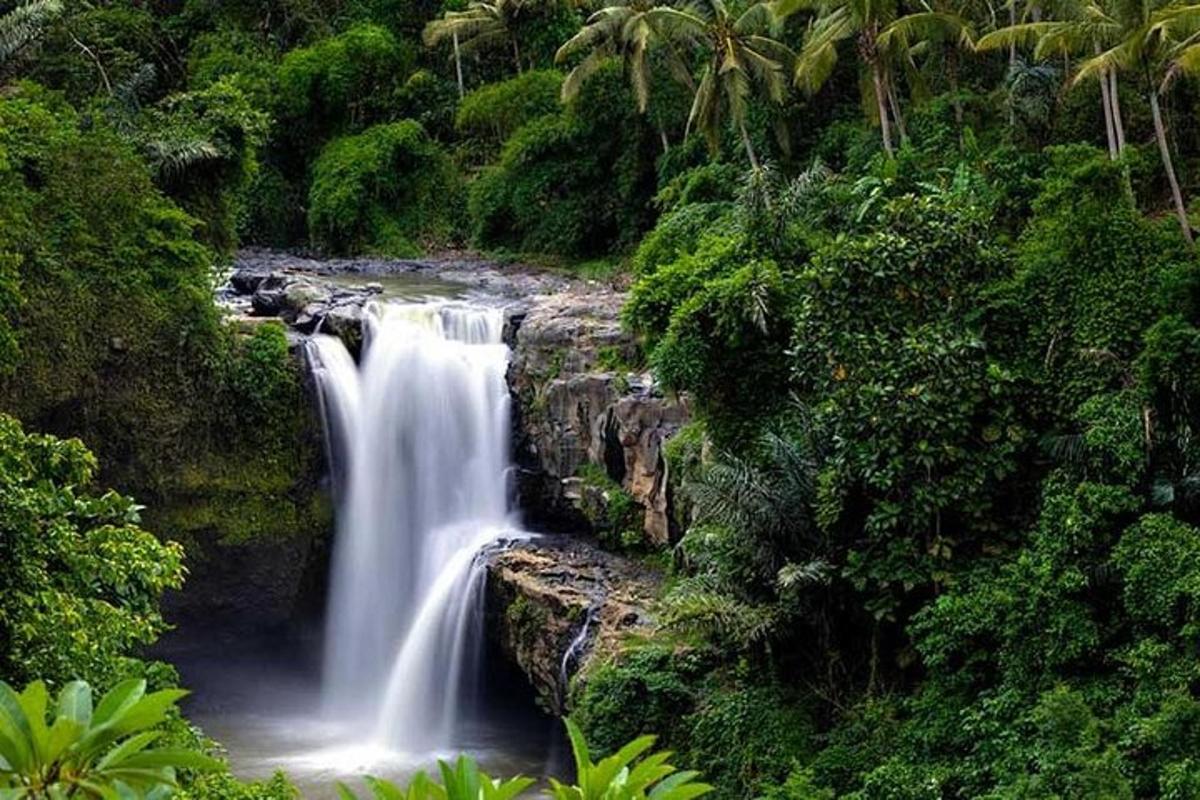 air terjun di tengah hutan