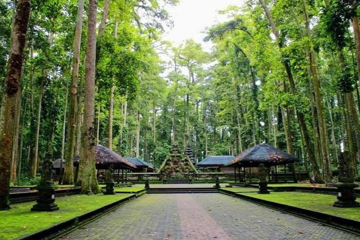 un sentiero in un parco con alberi e ombrelloni