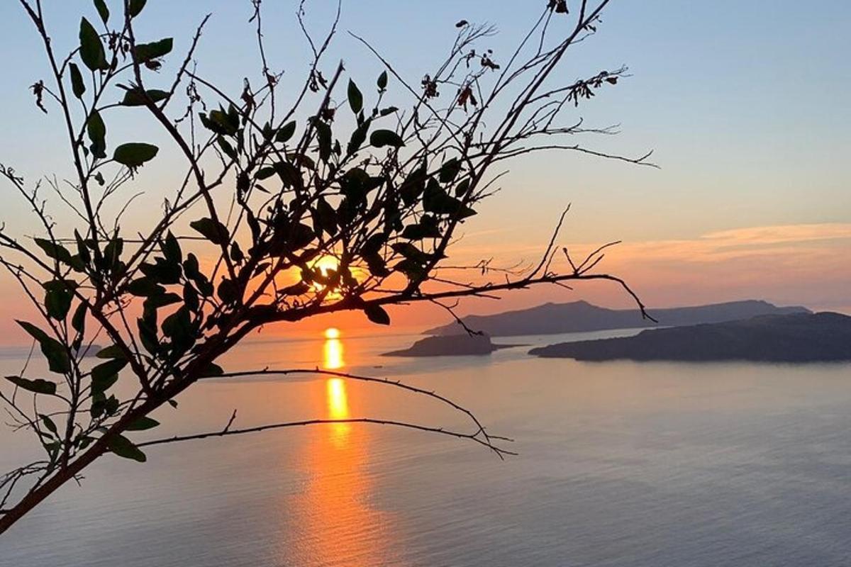 sončni zahod nad vodno površino z drevesom