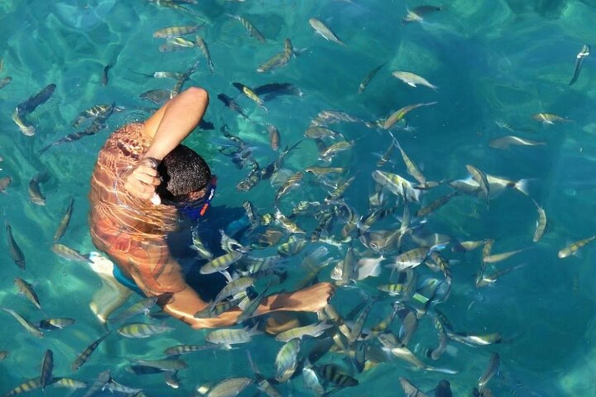 a man in a net in the water with a group of fish