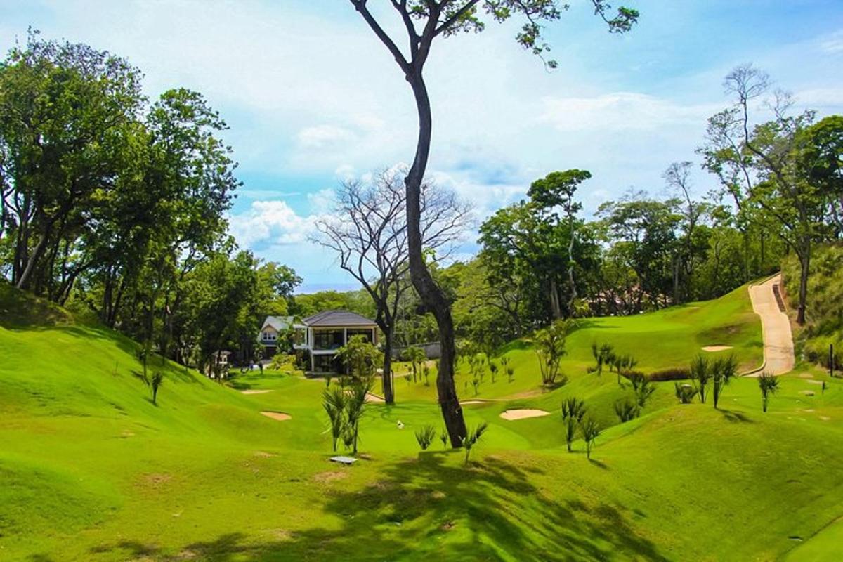 a view of a golf course with a tree