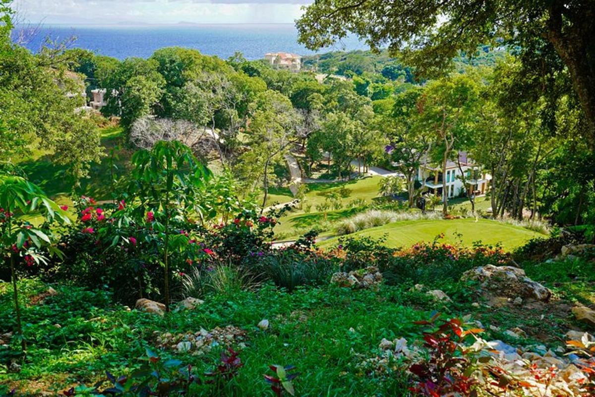 a view of a garden with flowers and the ocean