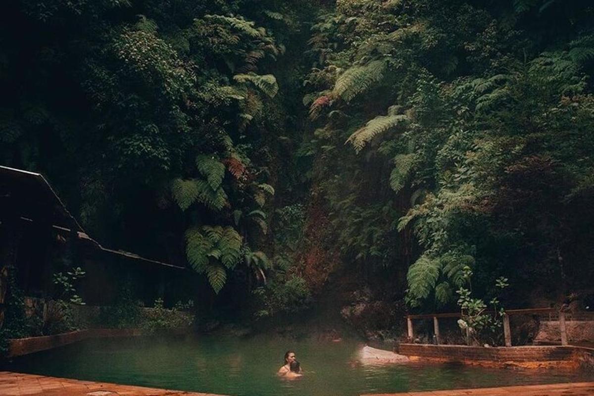 a person in a pool of water in a forest