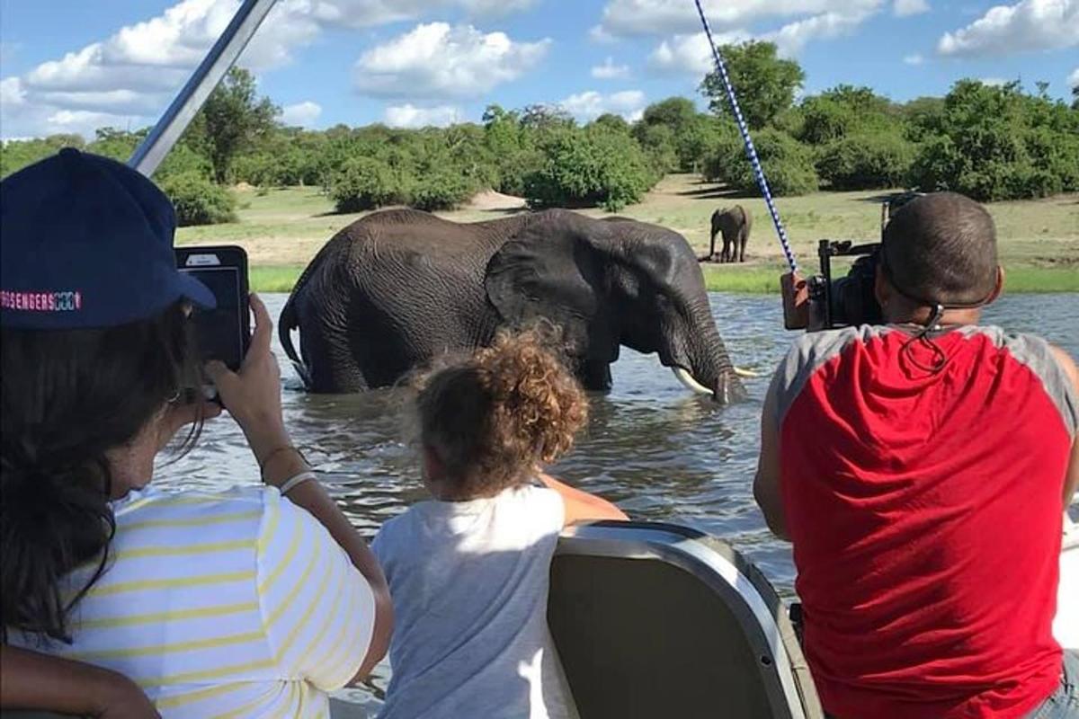 a group of people on a boat looking at an elephant in the water