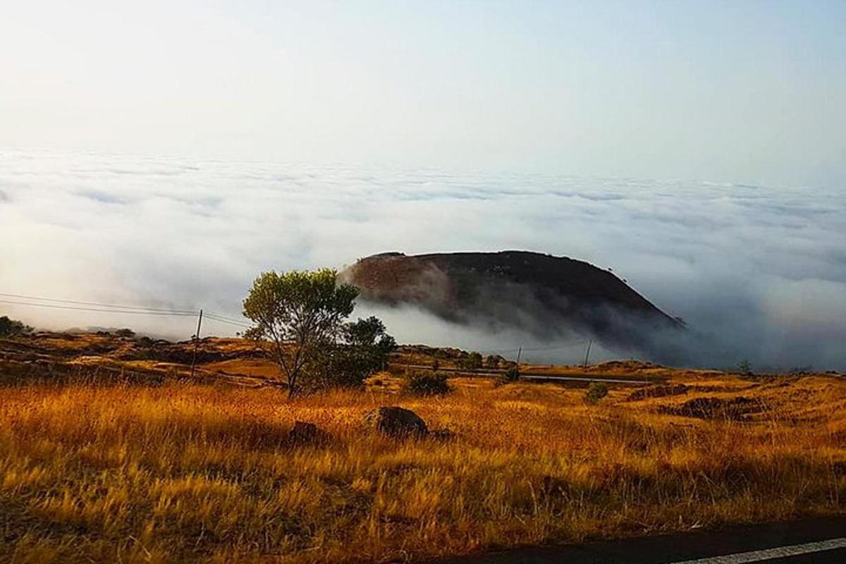 Fotografia 5 a atracției