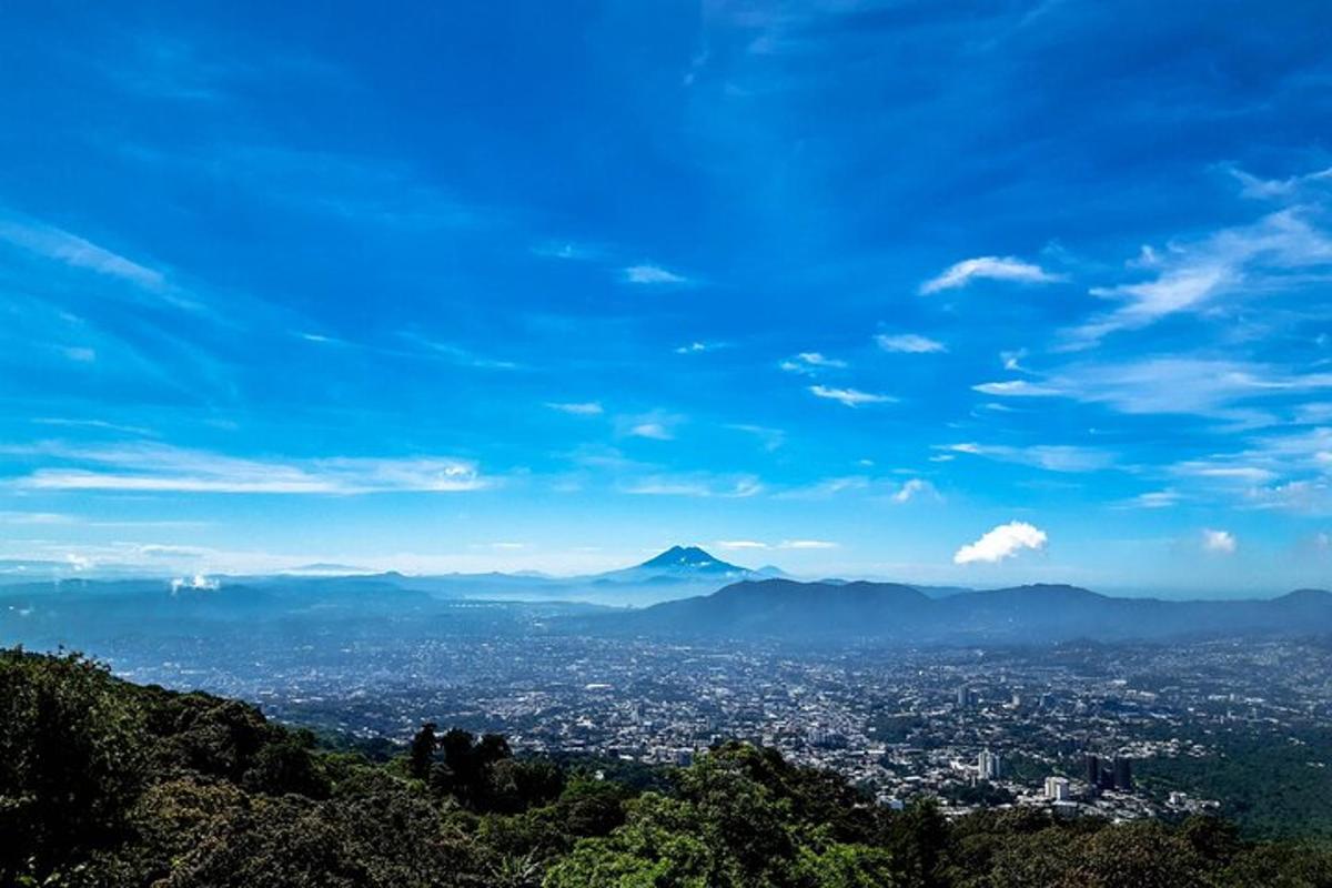 a view of a city with mountains in the distance