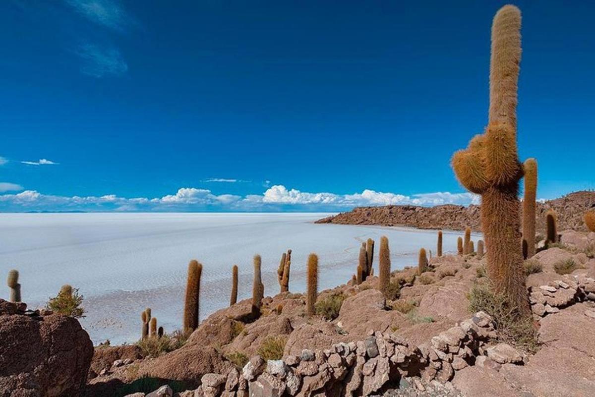 Lankytinos vietos ar pramogos nuotrauka numeris 7