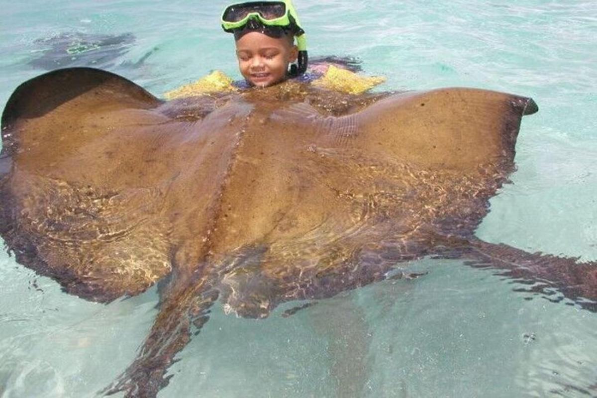 a boy in the water with a large dolphin
