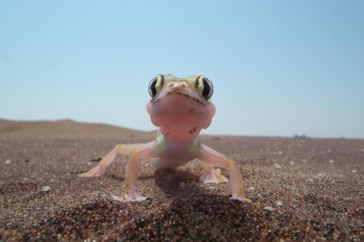 Lankytinos vietos ar pramogos nuotrauka numeris 2