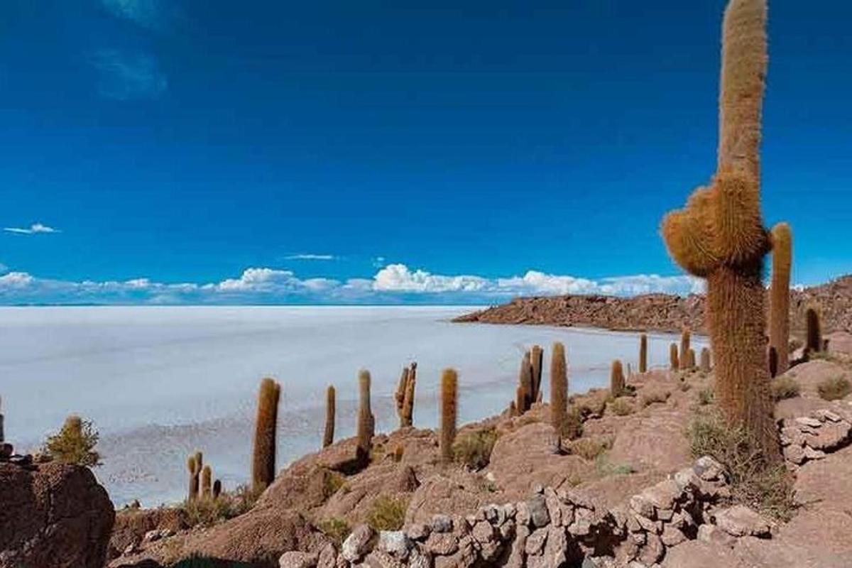 Foto 6 de l'atracció turística