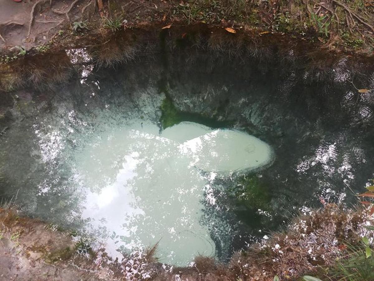 a large pool of green water in a field