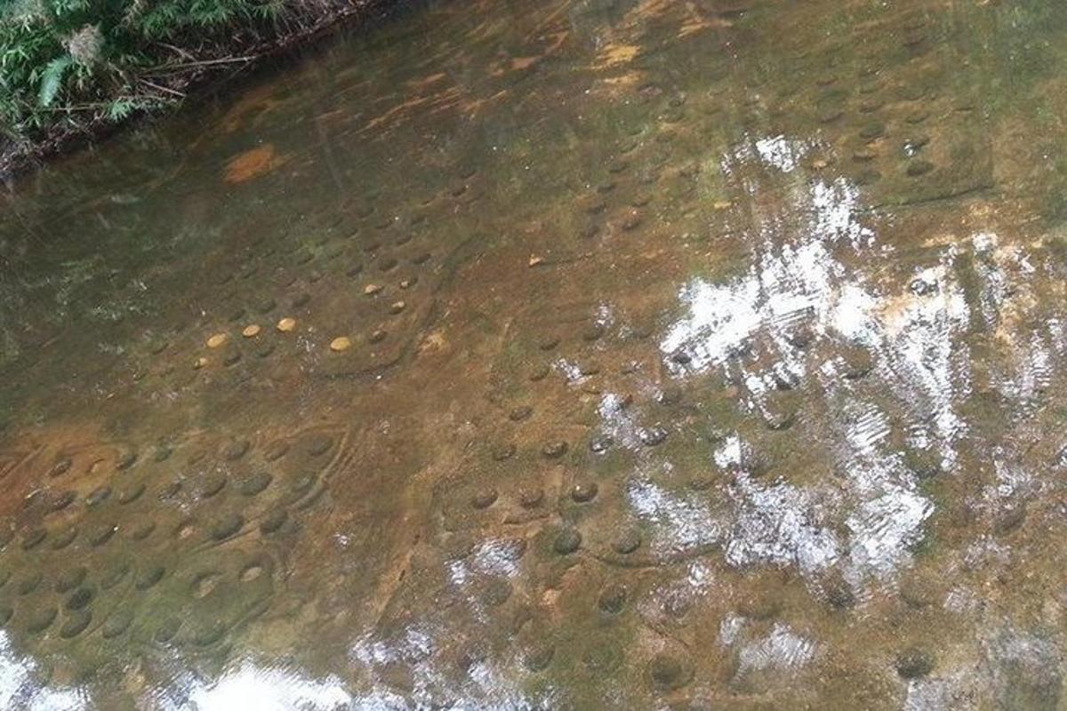 a body of water with a bunch of rocks in it