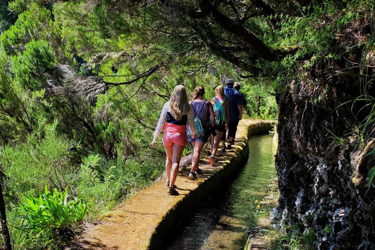um grupo de pessoas caminhando por uma trilha de terra