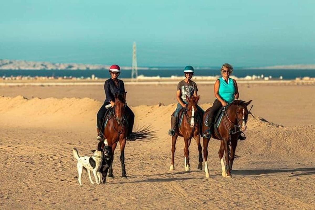 Tres personas montando a caballo en la playa con un perro.