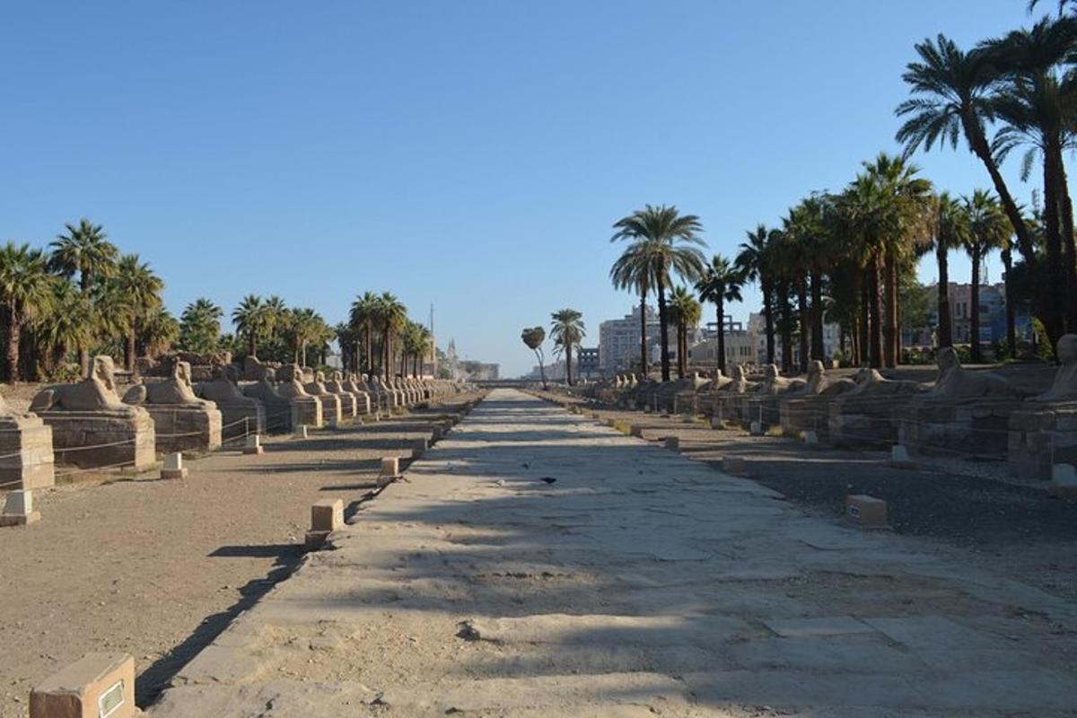 a long road with palm trees on the side