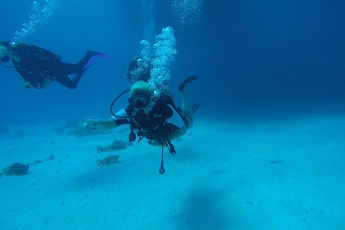 a group of people swimming in the ocean
