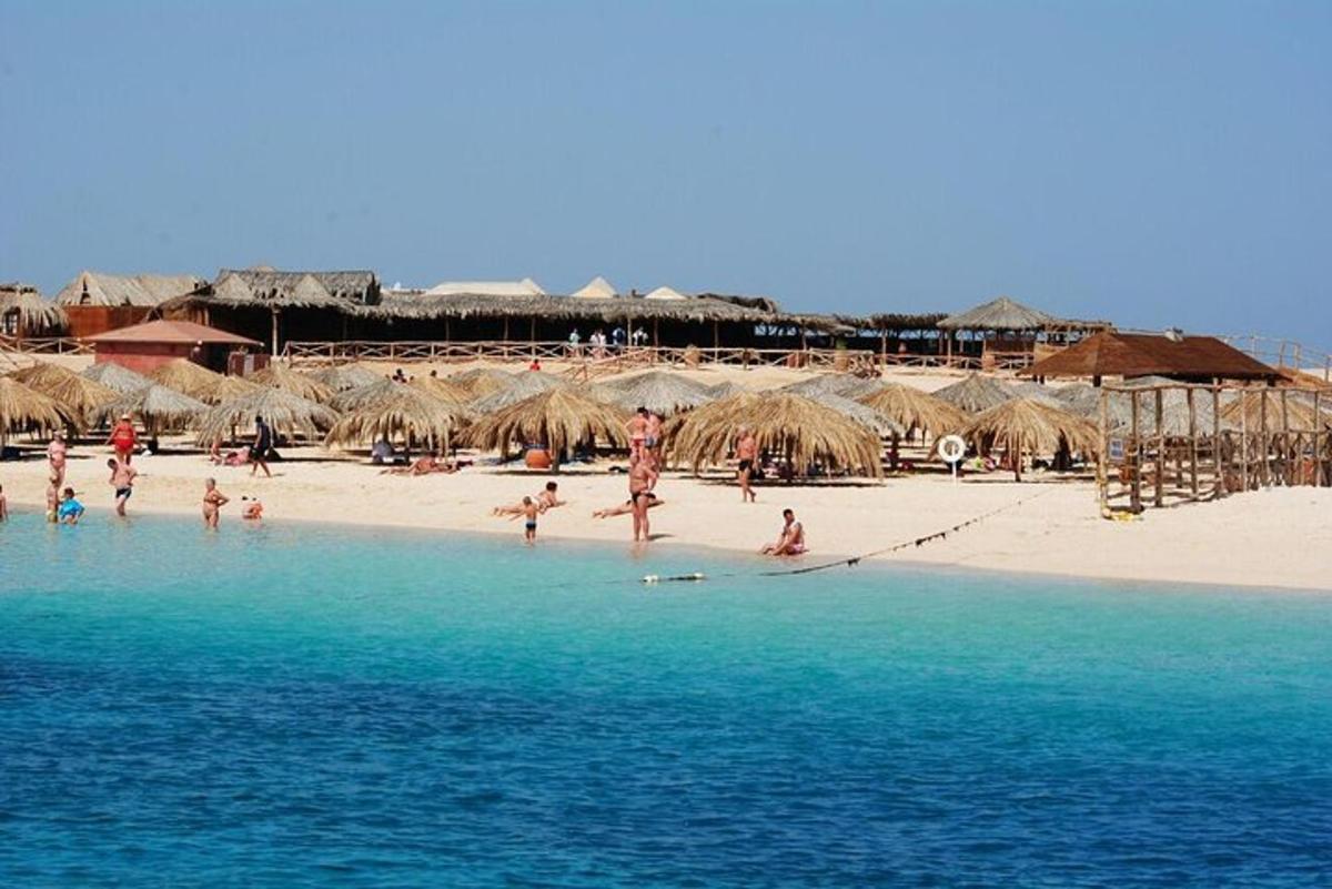 un gruppo di persone che giocano nell'acqua su una spiaggia