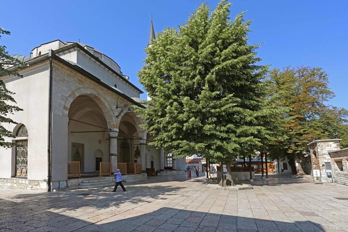ένα άτομο που περπατάει δίπλα σε ένα δέντρο δίπλα σε ένα κτίριο