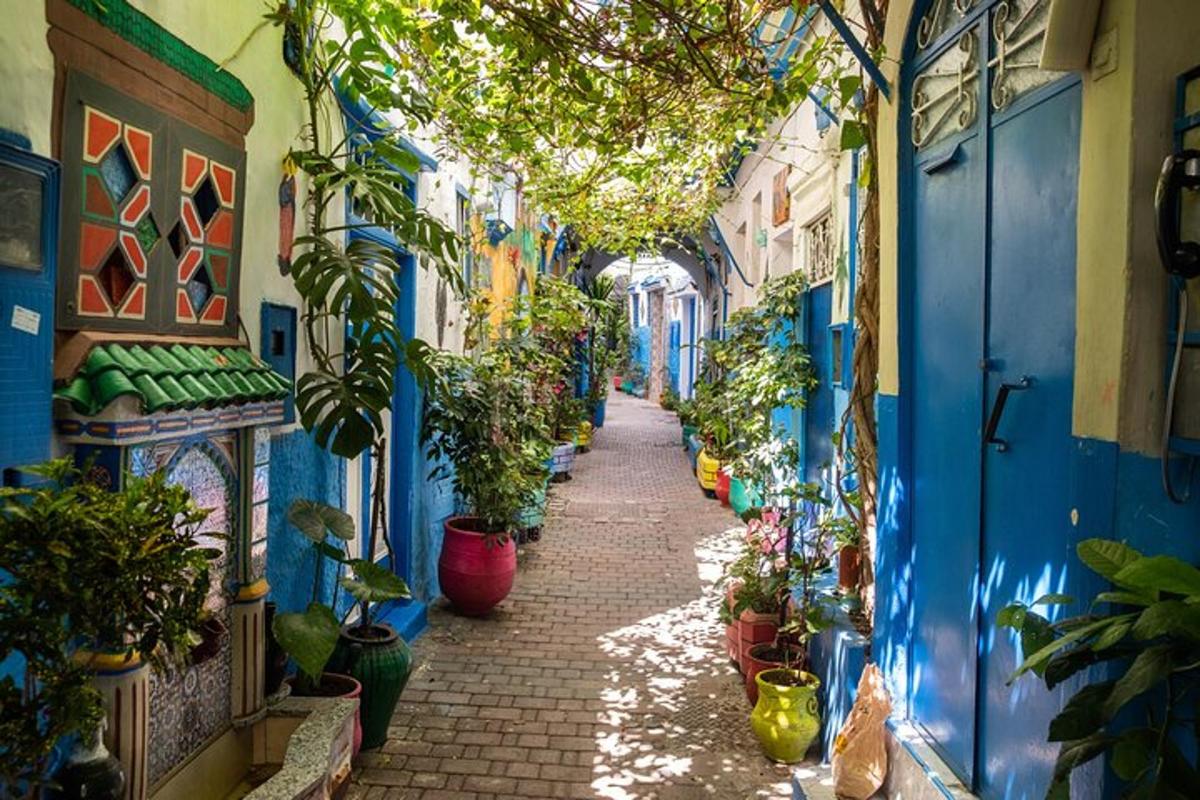 Un callejón lleno de plantas en macetas en un edificio.