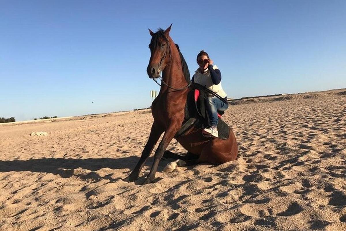 una persona montando a caballo en la playa