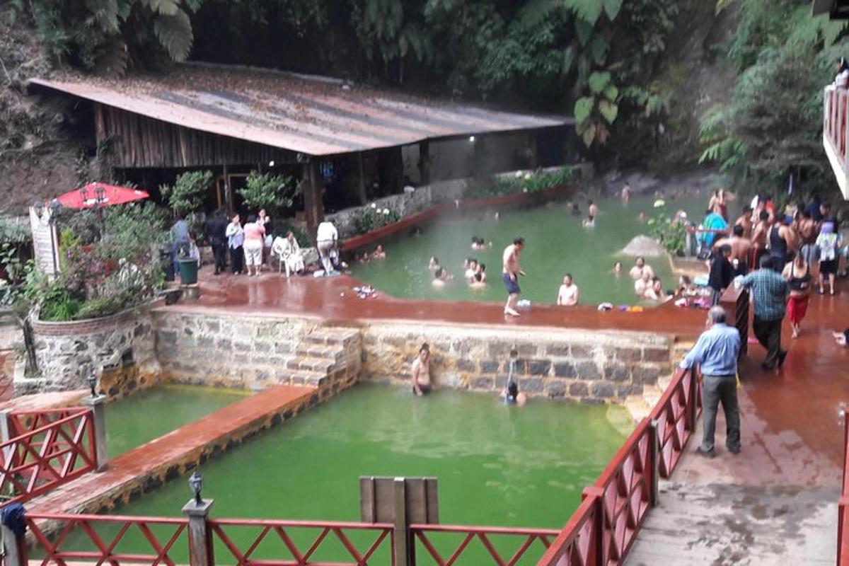 a group of people in a pool of green water