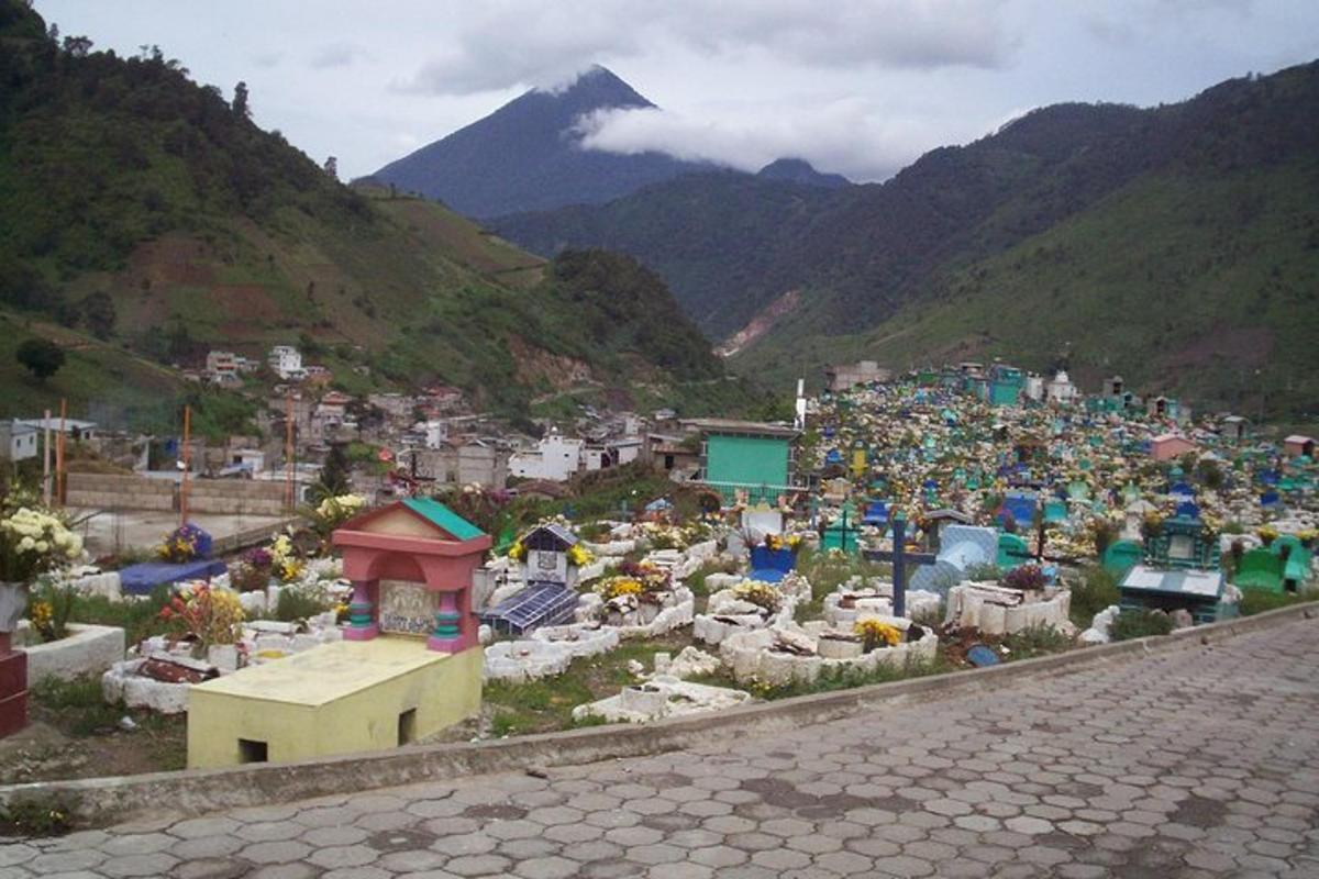 a view of a village with a mountain in the background