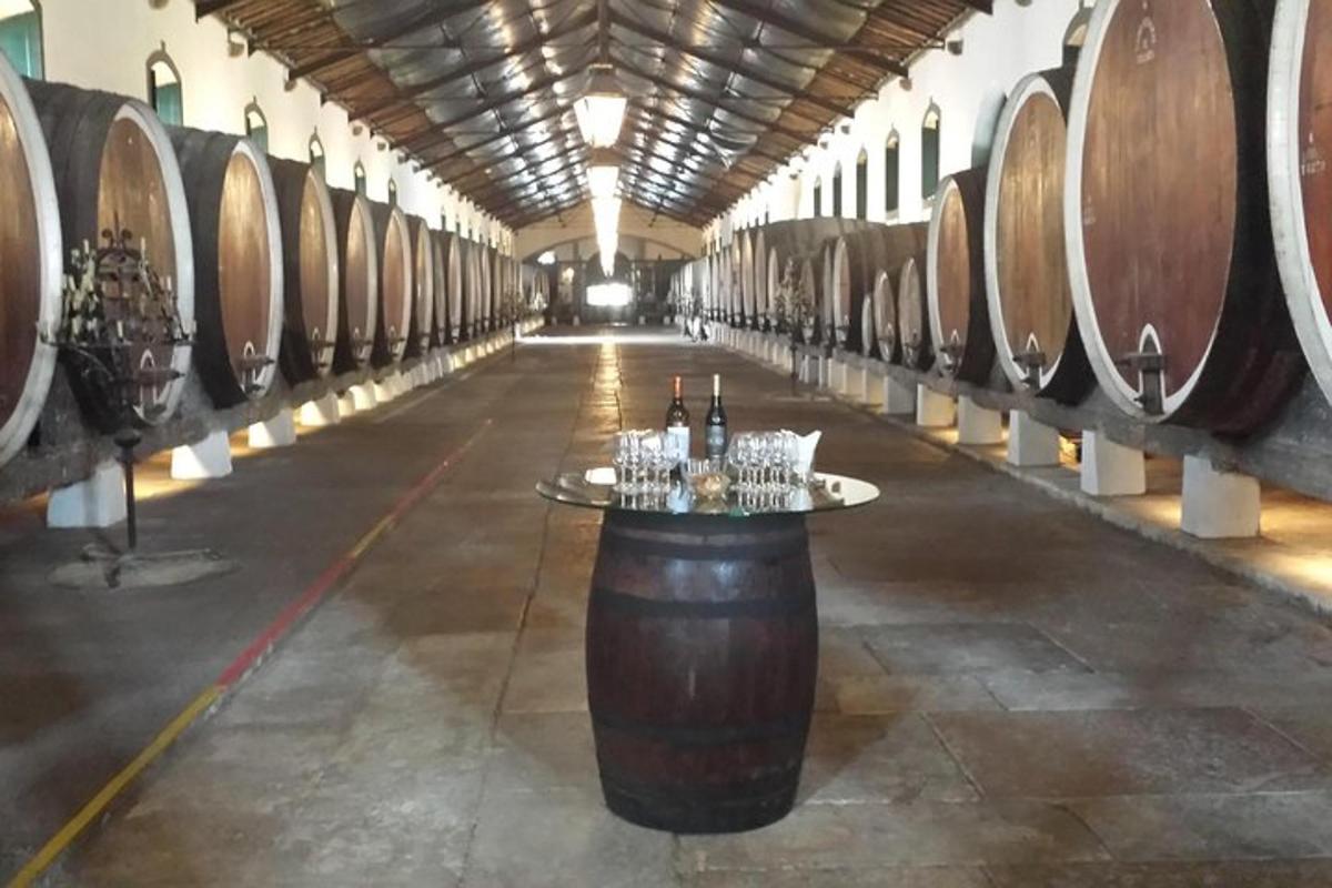 a row of wine barrels in a wine cellar