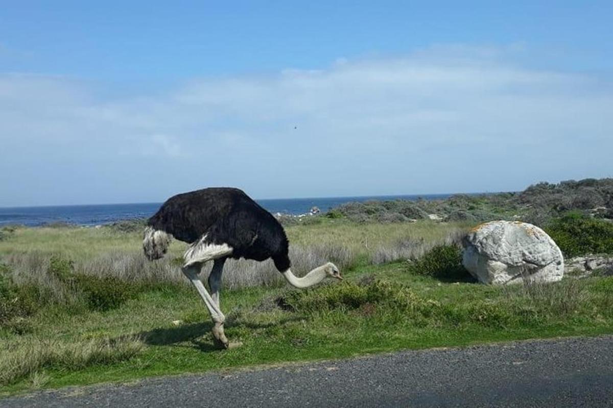 Lankytinos vietos ar pramogos nuotrauka numeris 1