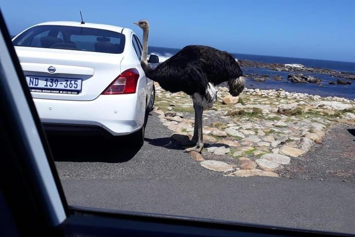 Φωτογραφία αξιοθέατου 5