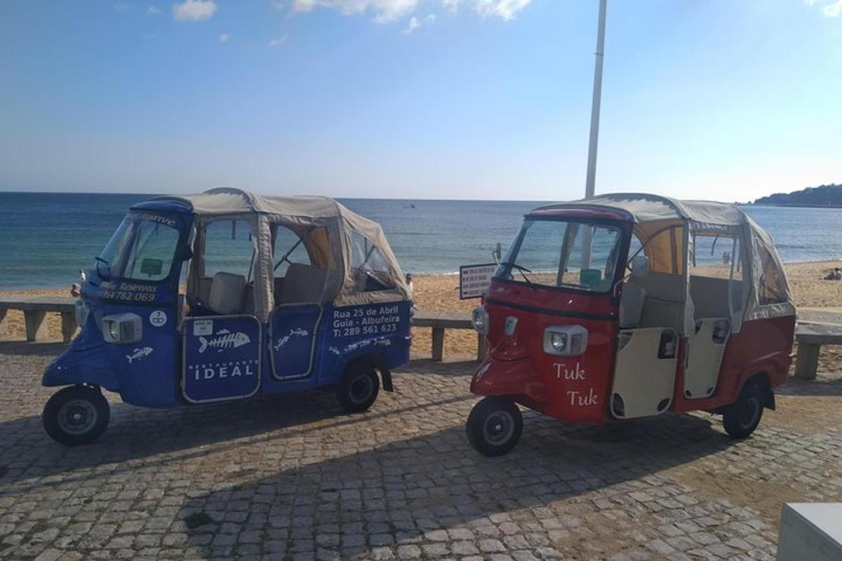 due piccoli veicoli parcheggiati vicino alla spiaggia
