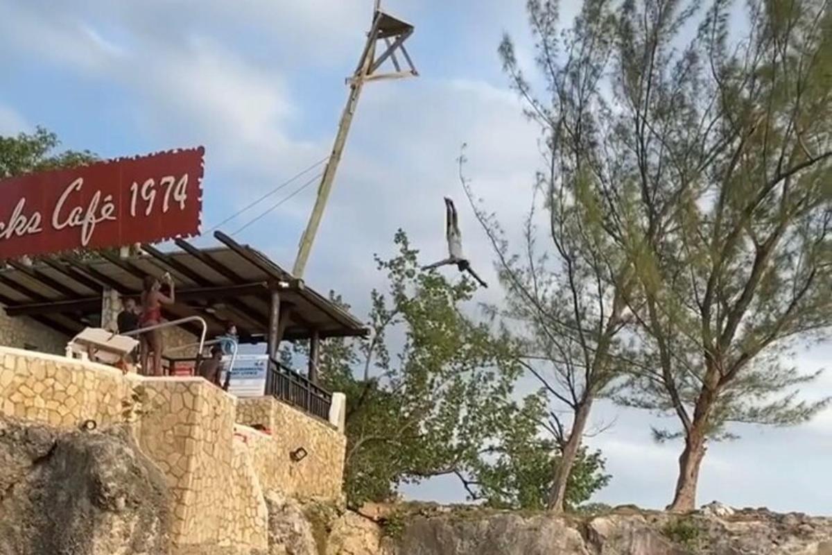 một con chim bay qua một tòa nhà có biển báo