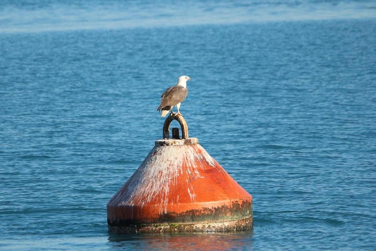 Lankytinos vietos ar pramogos nuotrauka numeris 2