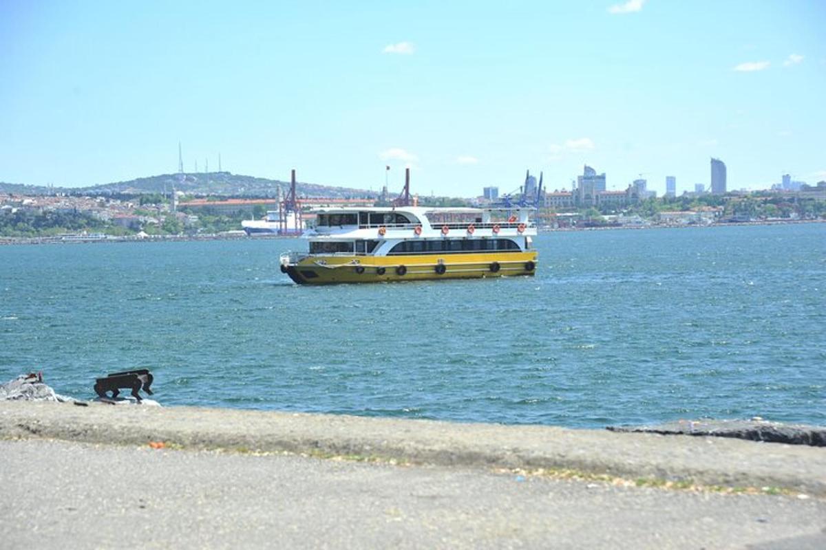 egy kutya sétál a tengerparton, miközben egy csónak van a vízben