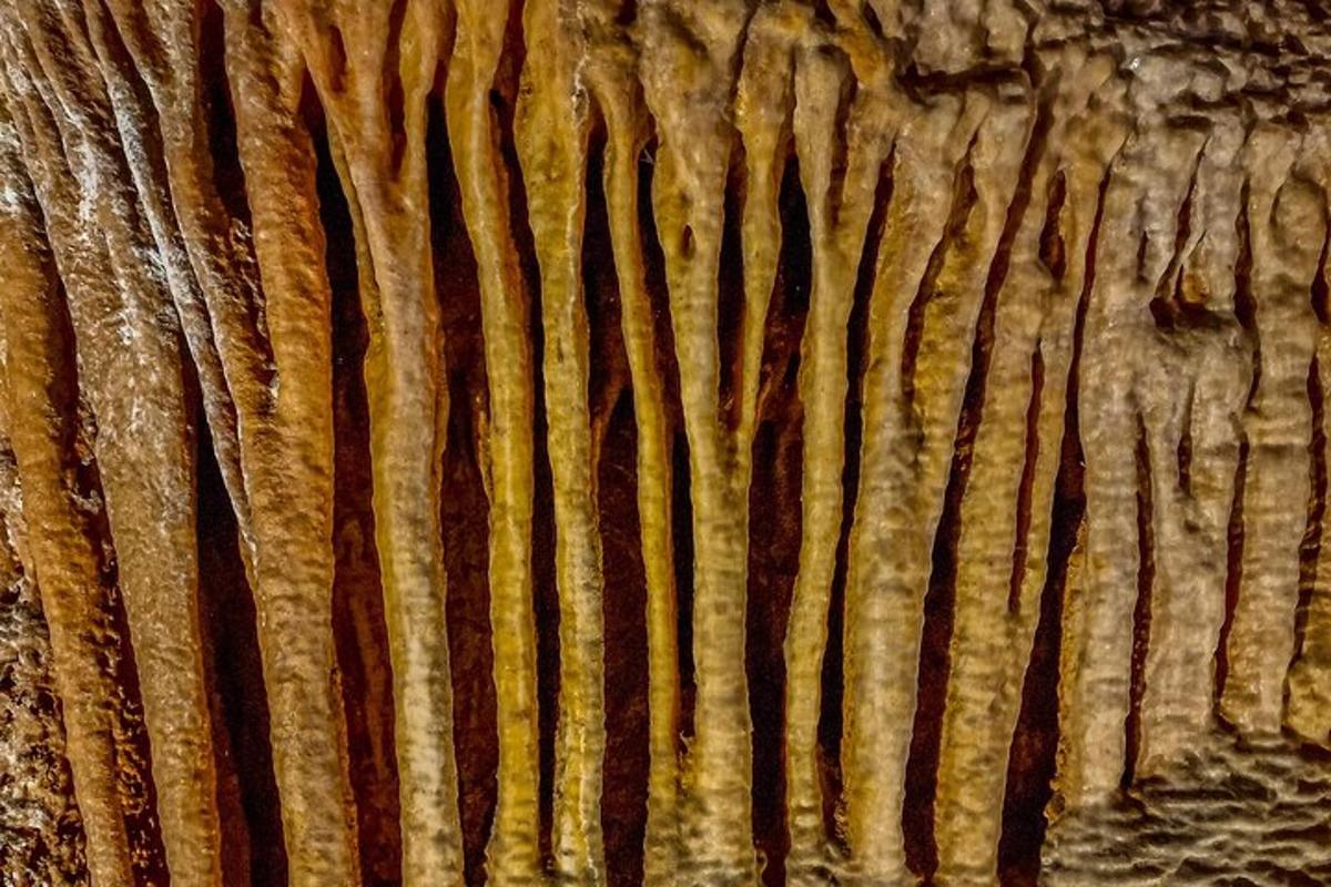 a close up of a wooden wall with patterns