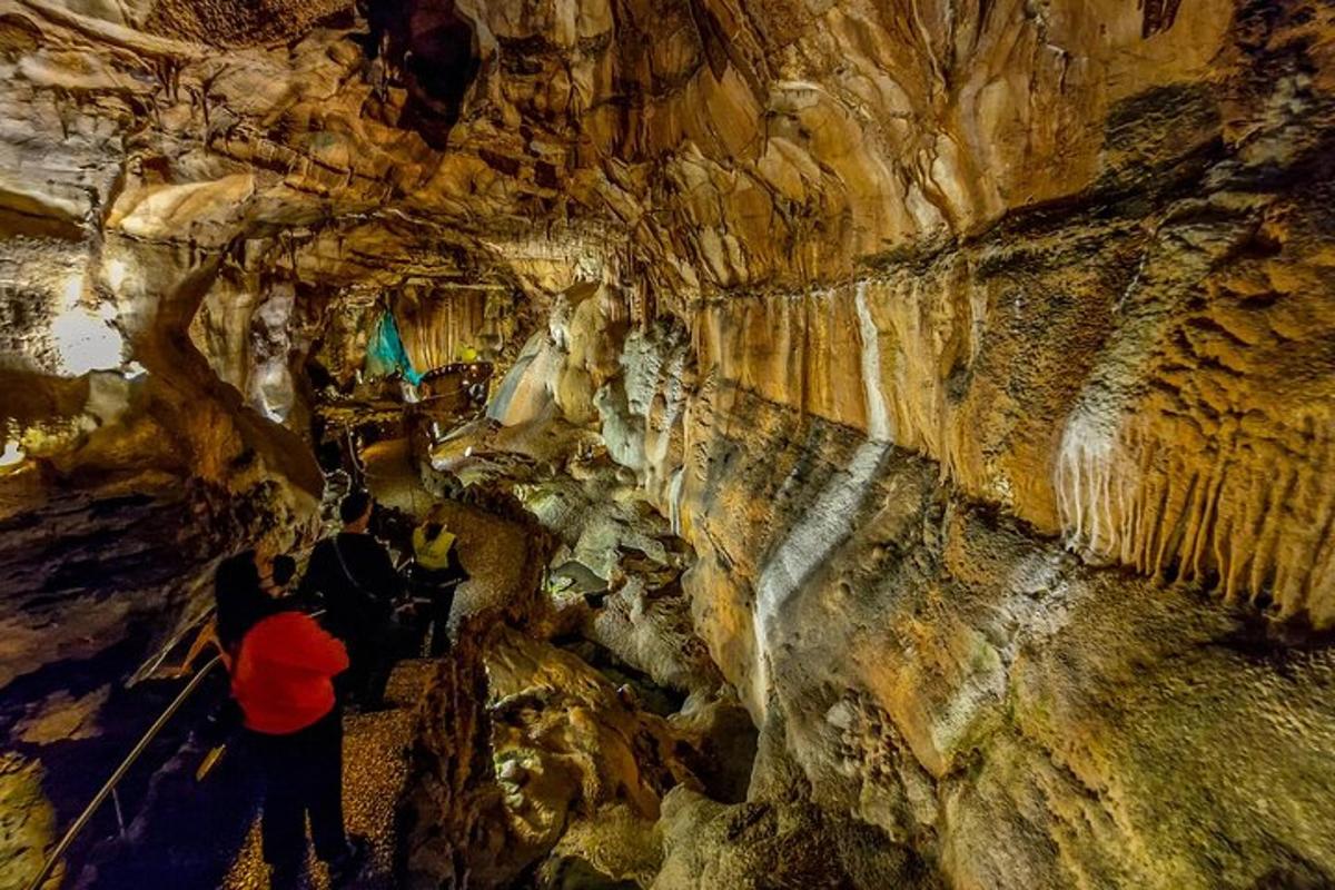 a group of people standing inside of a cave