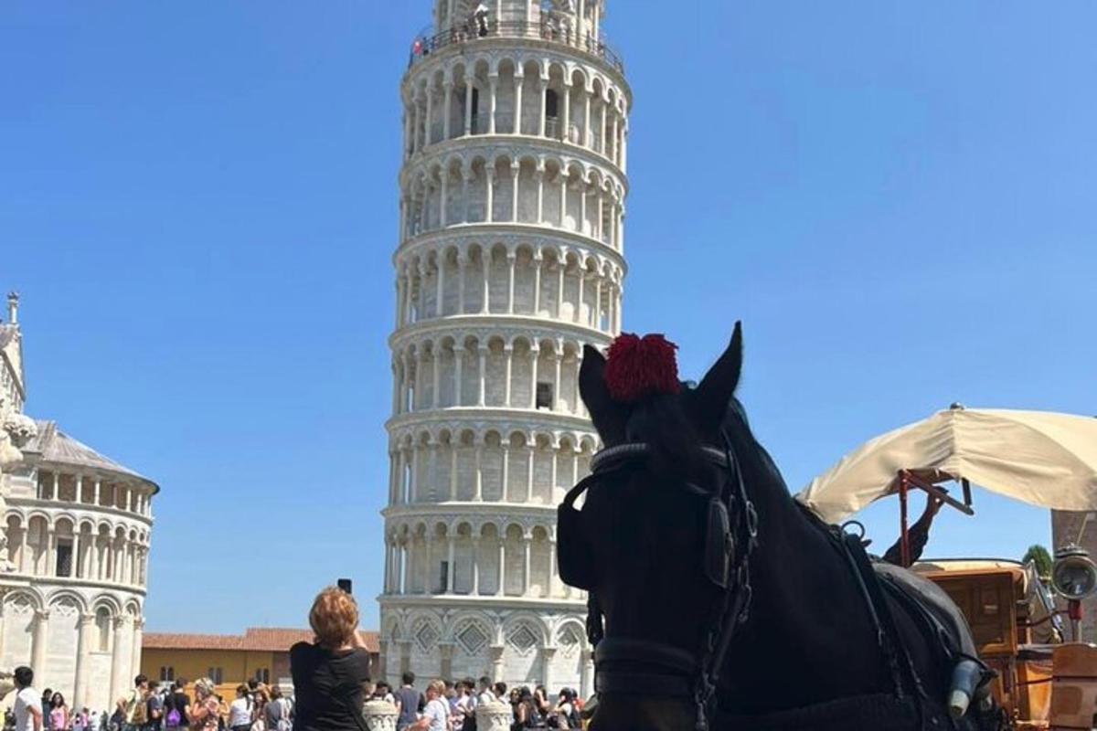 một con ngựa trước tháp nghiêng Pisa