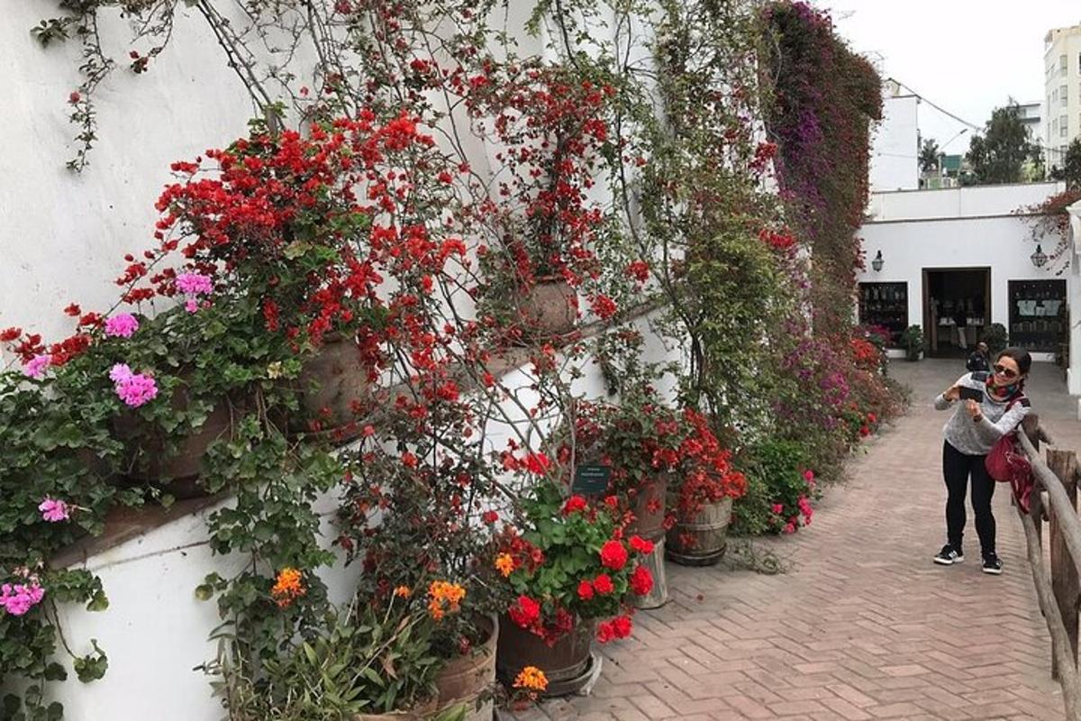 壁に飾られた花の写真を撮っている女性