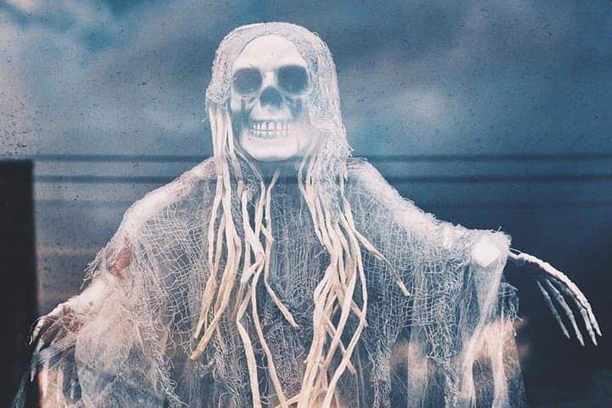a person dressed up in a skeleton costume with dreadlocks