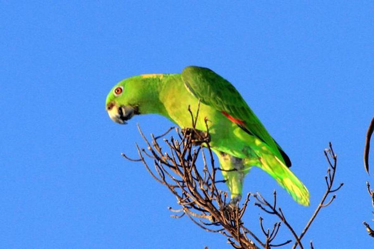 Fotografia da atração 1